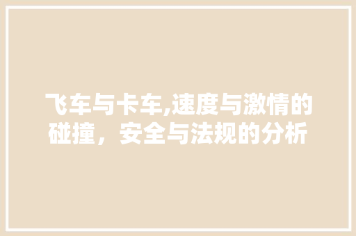 飞车与卡车,速度与激情的碰撞，安全与法规的分析