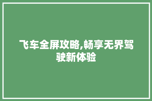 飞车全屏攻略,畅享无界驾驶新体验 飞车全屏攻略,畅享无界驾驶新体验