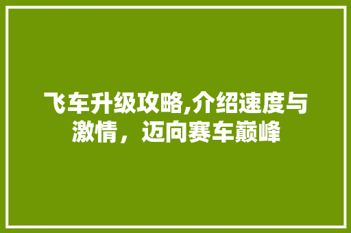 飞车升级攻略,介绍速度与激情,迈向赛车巅峰 飞车升级攻略,介绍速度与激情,迈向赛车巅峰
