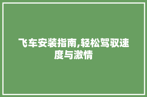飞车安装指南,轻松驾驭速度与激情 飞车安装指南,轻松驾驭速度与激情