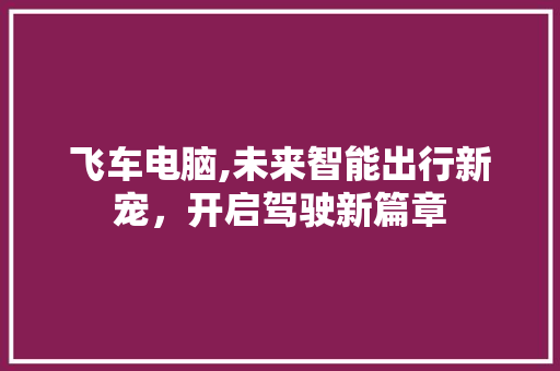 飞车电脑,未来智能出行新宠,开启驾驶新篇章 飞车电脑,未来智能出行新宠,开启驾驶新篇章