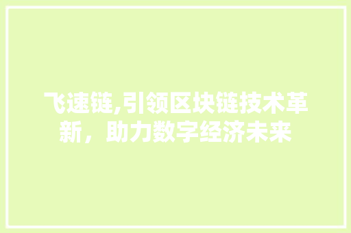 飞速链,引领区块链技术革新,助力数字经济未来 飞速链,引领区块链技术革新,助力数字经济未来