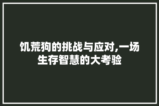 饥荒狗的挑战与应对,一场生存智慧的大考验