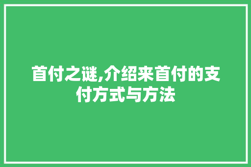 首付之谜,介绍来首付的支付方式与方法 编程语言
