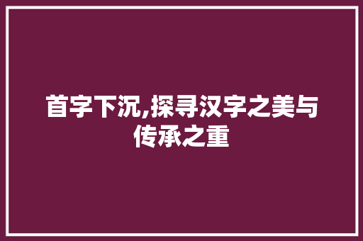 首字下沉,探寻汉字之美与传承之重