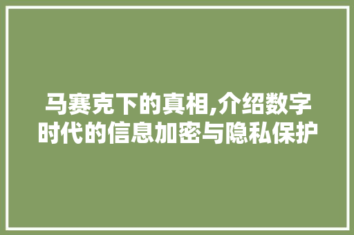 马赛克下的真相,介绍数字时代的信息加密与隐私保护