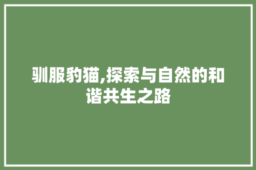 驯服豹猫,探索与自然的和谐共生之路