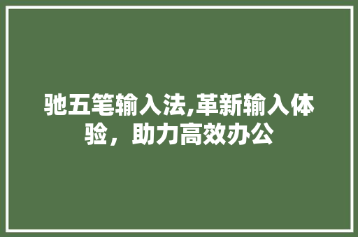 驰五笔输入法,革新输入体验，助力高效办公
