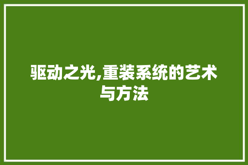 驱动之光,重装系统的艺术与方法