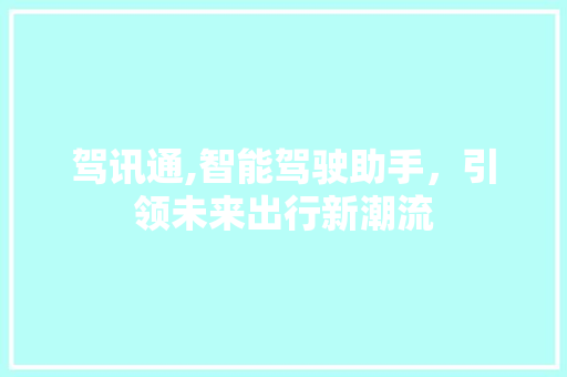 驾讯通,智能驾驶助手，引领未来出行新潮流