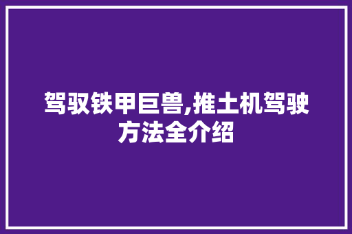 驾驭铁甲巨兽,推土机驾驶方法全介绍
