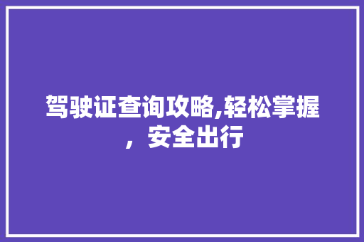驾驶证查询攻略,轻松掌握,安全出行 驾驶证查询攻略,轻松掌握,安全出行