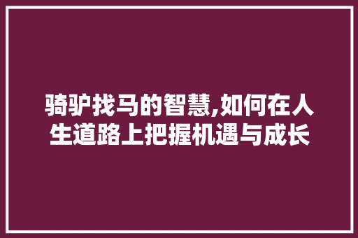 骑驴找马的智慧,如何在人生道路上把握机遇与成长 骑驴找马的智慧,如何在人生道路上把握机遇与成长