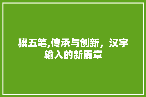 骥五笔,传承与创新，汉字输入的新篇章 网络技术