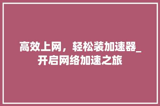 高效上网，轻松装加速器_开启网络加速之旅