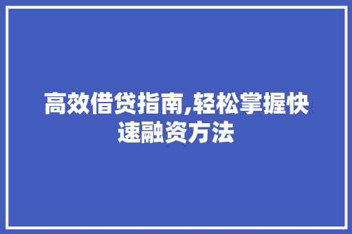 高效借贷指南,轻松掌握快速融资方法