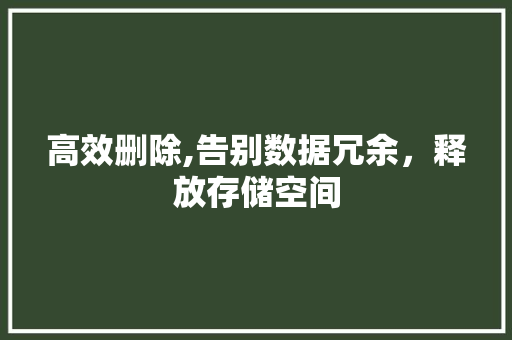 高效删除,告别数据冗余,释放存储空间 高效删除,告别数据冗余,释放存储空间