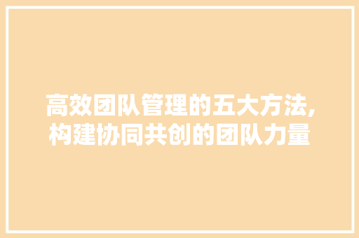 高效团队管理的五大方法,构建协同共创的团队力量 高效团队管理的五大方法,构建协同共创的团队力量