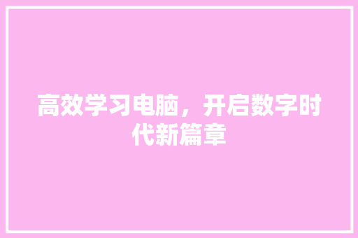 高效学习电脑，开启数字时代新篇章