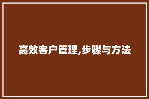 高效客户管理,步骤与方法