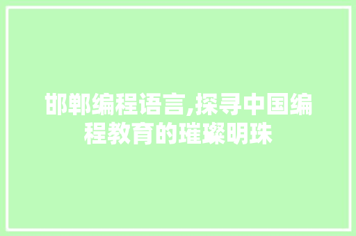 邯郸编程语言,探寻中国编程教育的璀璨明珠