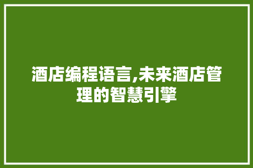 酒店编程语言,未来酒店管理的智慧引擎