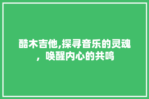 酷木吉他,探寻音乐的灵魂，唤醒内心的共鸣