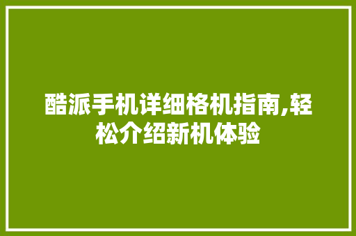 酷派手机详细格机指南,轻松介绍新机体验 酷派手机详细格机指南,轻松介绍新机体验