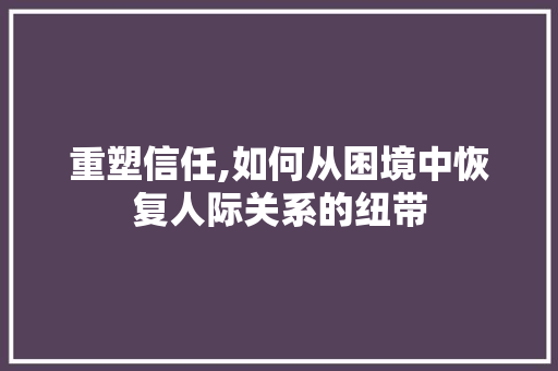 重塑信任,如何从困境中恢复人际关系的纽带