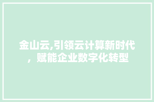 金山云,引领云计算新时代，赋能企业数字化转型