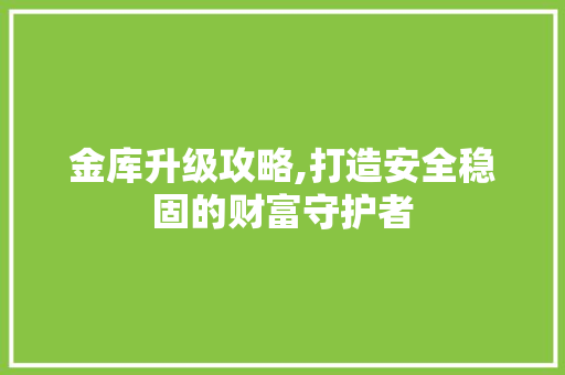 金库升级攻略,打造安全稳固的财富守护者