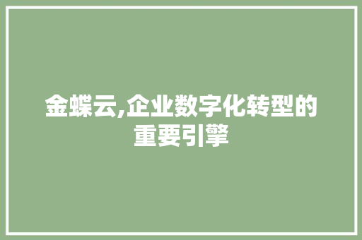 金蝶云,企业数字化转型的重要引擎 操作系统