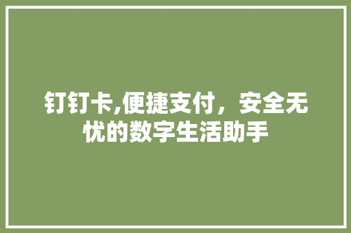 钉钉卡,便捷支付，安全无忧的数字生活助手 网络技术