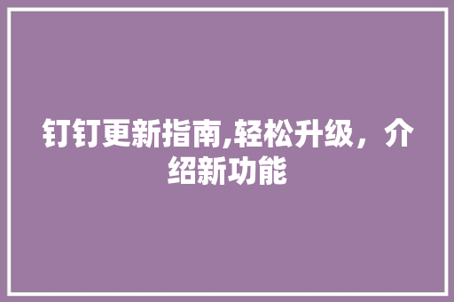 钉钉更新指南,轻松升级，介绍新功能 网络技术