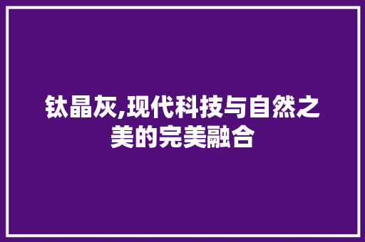 钛晶灰,现代科技与自然之美的完美融合 电脑基础