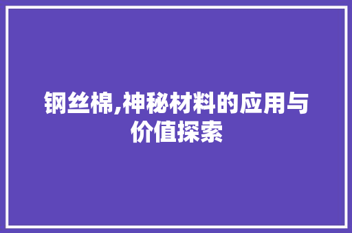 钢丝棉,神秘材料的应用与价值探索