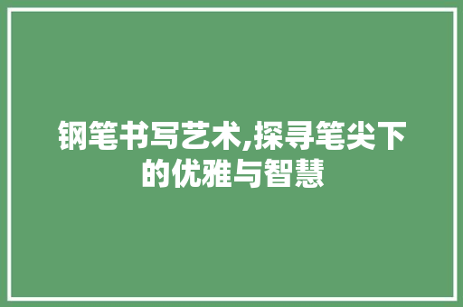 钢笔书写艺术,探寻笔尖下的优雅与智慧