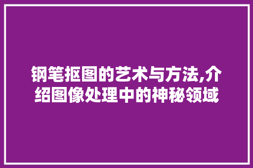 钢笔抠图的艺术与方法,介绍图像处理中的神秘领域