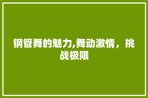 钢管舞的魅力,舞动激情，挑战极限 电脑故障维修