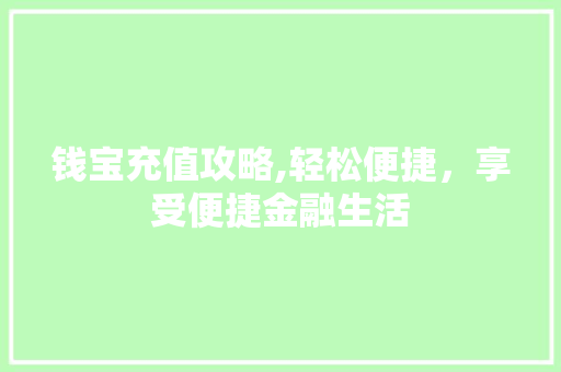 钱宝充值攻略,轻松便捷，享受便捷金融生活
