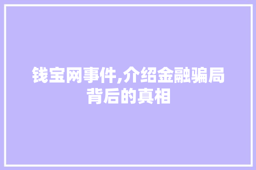 钱宝网事件,介绍金融骗局背后的真相