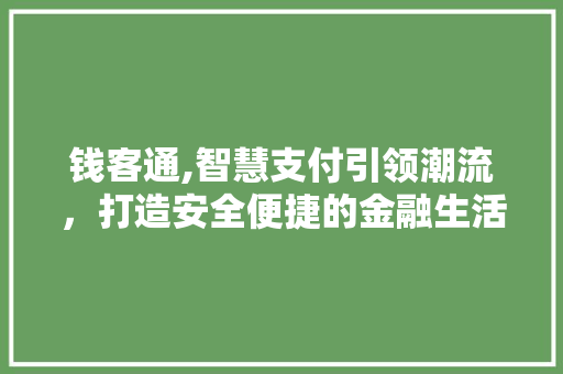 钱客通,智慧支付引领潮流，打造安全便捷的金融生活新范式