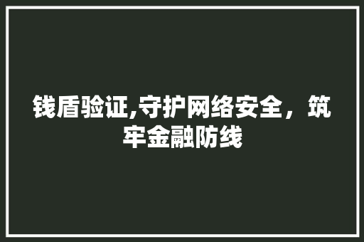 钱盾验证,守护网络安全，筑牢金融防线