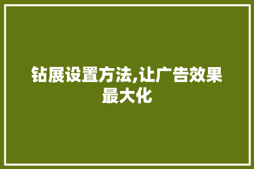 钻展设置方法,让广告效果最大化