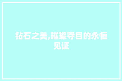 钻石之美,璀璨夺目的永恒见证