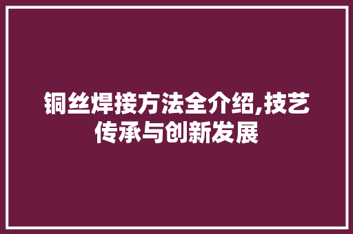 铜丝焊接方法全介绍,技艺传承与创新发展