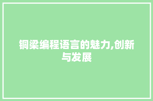 铜梁编程语言的魅力,创新与发展