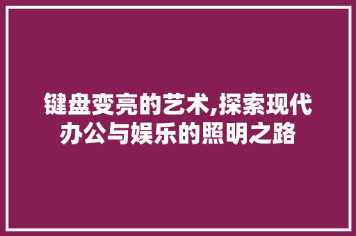 键盘变亮的艺术,探索现代办公与娱乐的照明之路