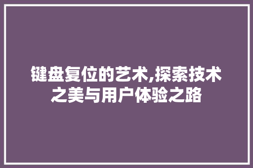 键盘复位的艺术,探索技术之美与用户体验之路