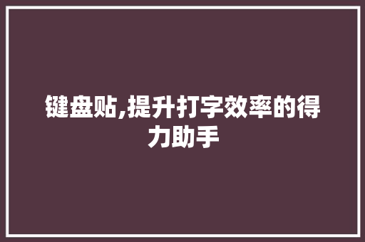 键盘贴,提升打字效率的得力助手 操作系统
